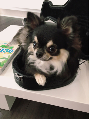 そしてまた今日も_a0109641_10243435.jpg