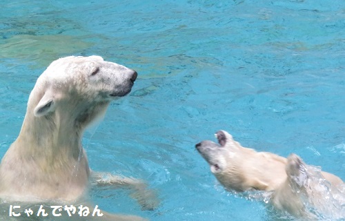 f0002743_1125911.jpg