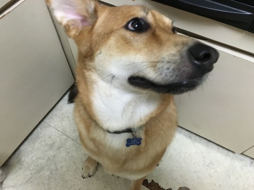 c0266644_23095168.jpeg