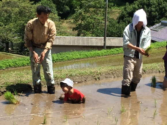 玖珠棚田田植え_d0101847_12560082.jpeg