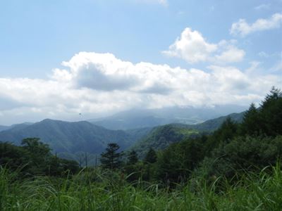 b0220251_59025.jpg