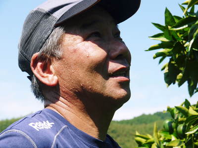 ザ・みかん 美味しく甘く育てるための匠の摘果作業 その3(どの果実を摘果するのか?匠の判断)_a0254656_15251047.jpg
