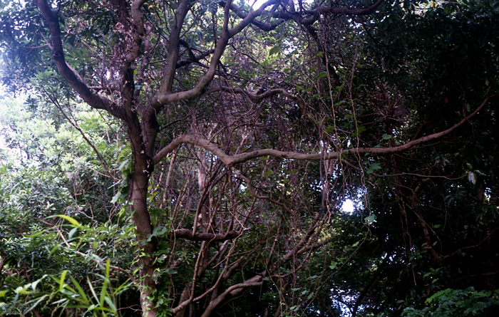 f0206356_14393760.jpg