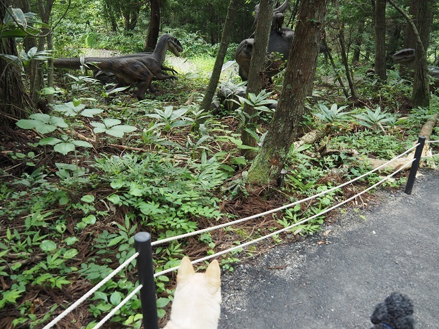 c0357659_01073420.jpg