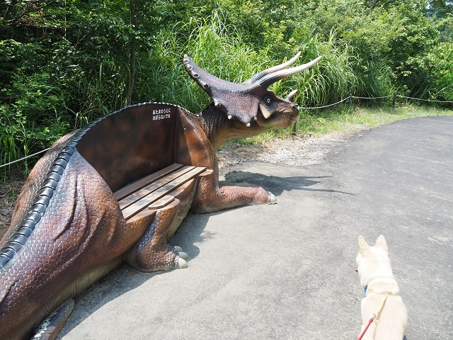 c0357659_01115033.jpg