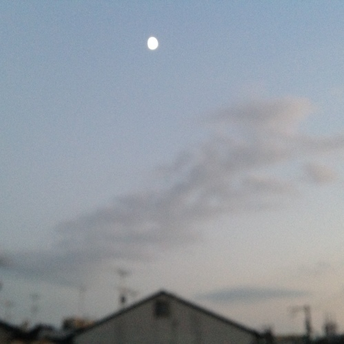 京都お盆のビアガーデン_b0153663_14045433.jpeg