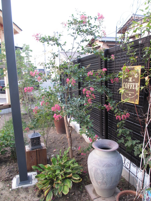 a0243064_971775.jpg
