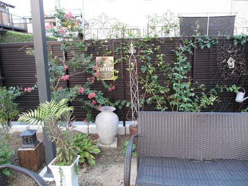 a0243064_983329.jpg