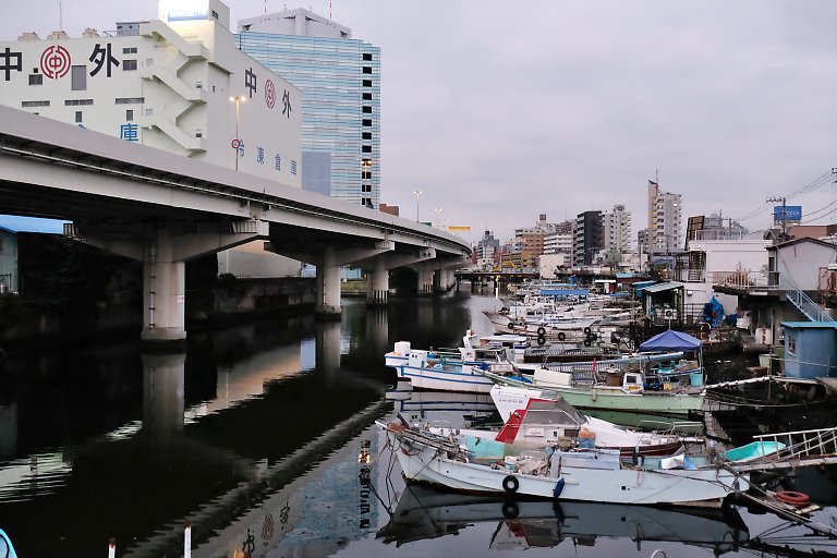 子安運河（８月１３日）_c0057265_15144462.jpg