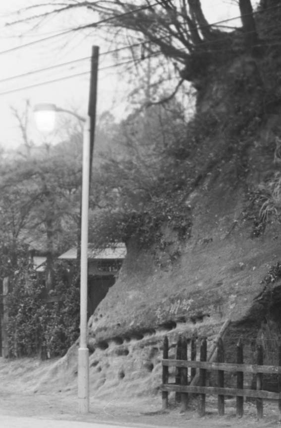 一報！緑の洞門の円覚寺側岩盤剥落：8・11_c0014967_254315.jpg