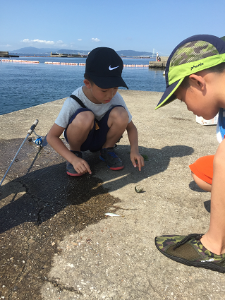 たこ焼きキャンプ2016 〈1〉福島から兵庫へ！_d0238083_014982.png