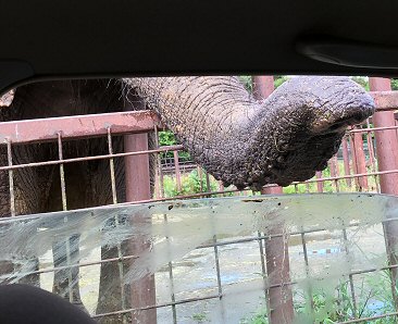 福島県二本松市：「東北サファリパーク」象に乗ったり、猿に餌をあげたり盛りだくさん♪_c0014187_23454993.jpg