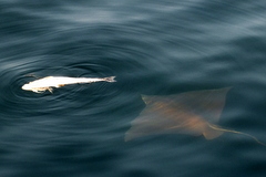 b0192588_923533.jpg