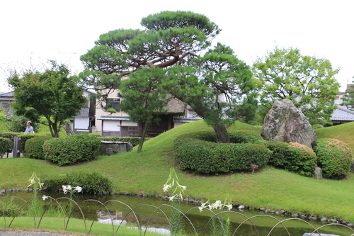 日本最古の学校　史跡足利學校へ・５　_c0075701_073757.jpg