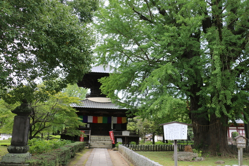 日本最古の学校　史跡足利學校へ・8_c0075701_7262011.jpg