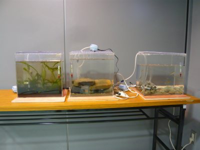 c0024502_19582215.jpg