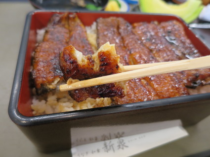 まとめ編その8 うなぎの新泉と掛川城 青春18きっぷ よく飲むオバチャン 本日のメニュー まとめ編その8 うなぎの新泉と掛川城 青春18きっぷ よく飲むオバチャン 本日のメニュー