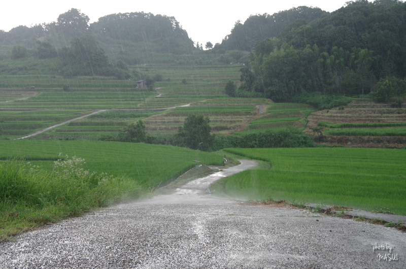 d0342307_10272114.jpg
