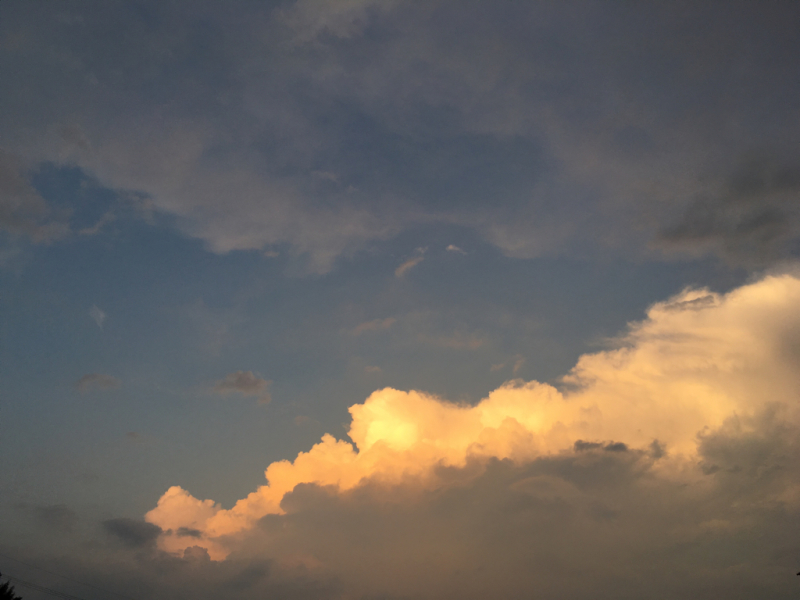 f0356611_19504121.jpg