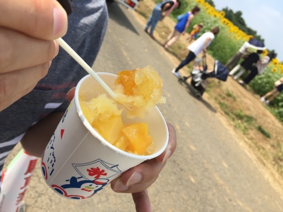 d0224712_12212318.jpeg