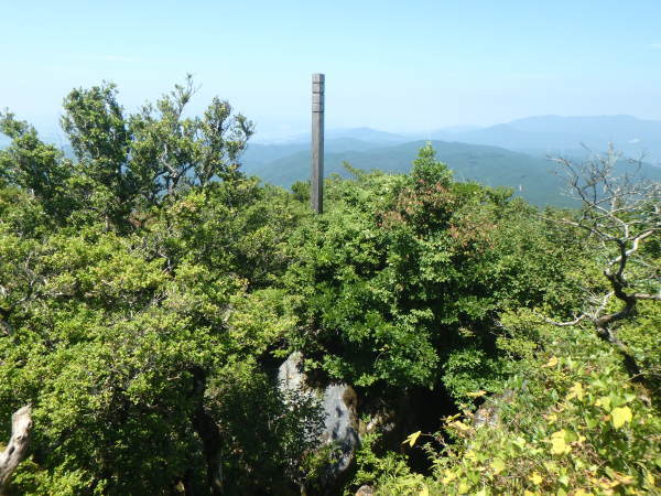 d0198313_22051956.jpg