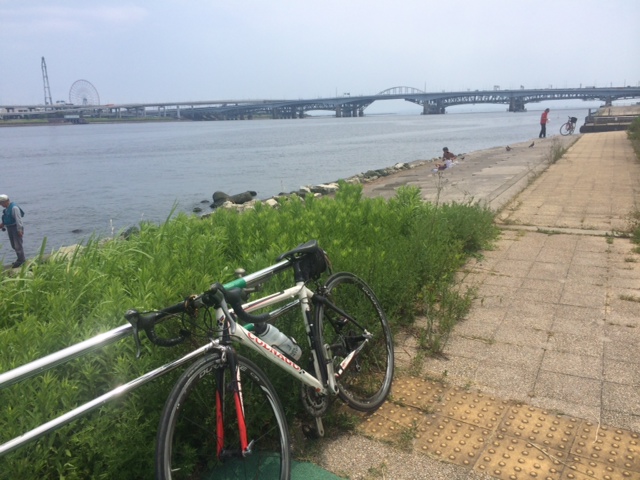 田んぼに秋が_d0130714_22223693.jpg