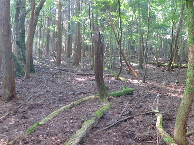 f0193521_12331844.jpg
