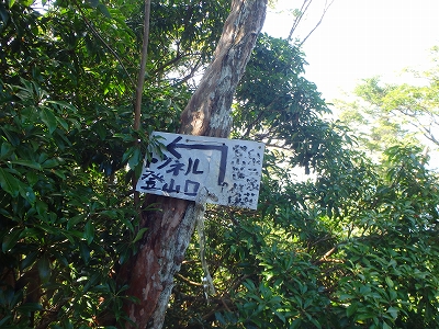 f0193521_12462352.jpg