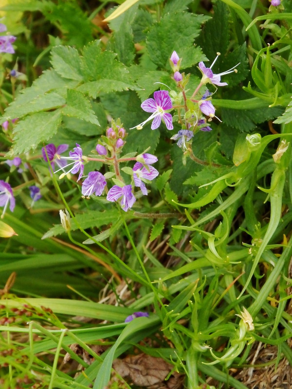 f0330321_20646.jpg