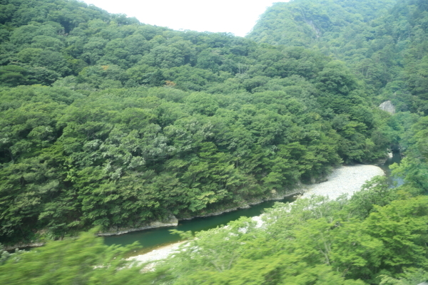 f0229832_10521535.jpg