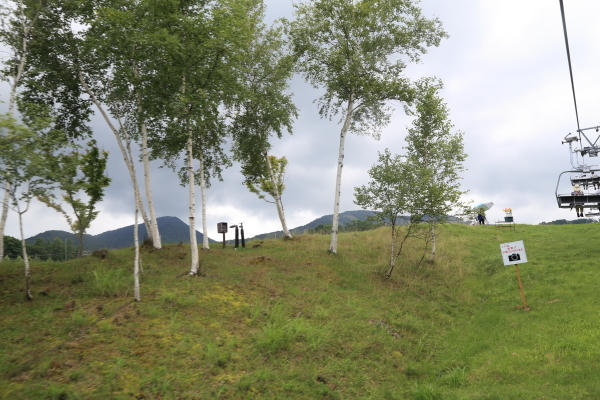 f0229832_10525456.jpg