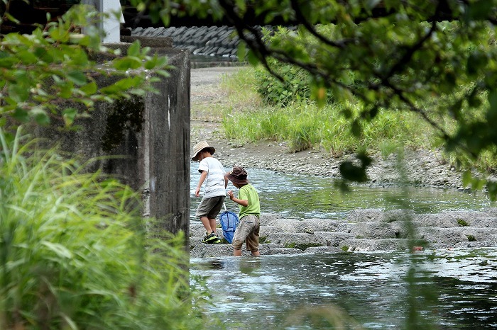 夏の光景_f0327034_23310291.jpg