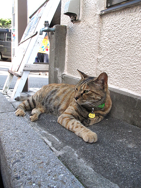 f0031535_1124938.jpg