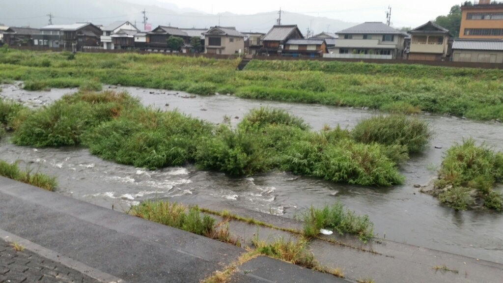 8月14日  河川情報。_c0266737_17184308.jpg