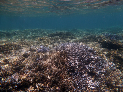f0014842_20314208.jpg