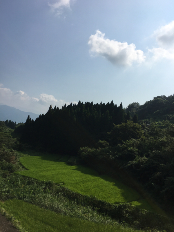 b0367447_18231609.jpg