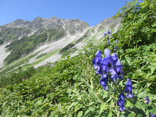 2016年8月12日　北穂高岳登山　④北穂高岳～徳沢_e0245655_5554974.jpg