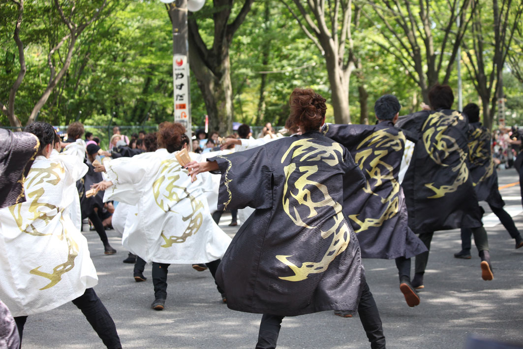 彩夏祭 関八州よさこいフェスタ2016【６】_c0299360_159151.jpg