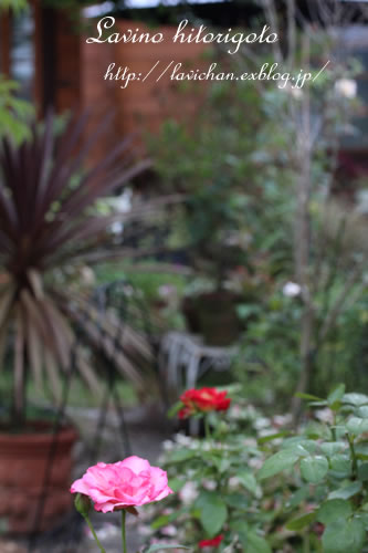 c0139168_21552111.jpg