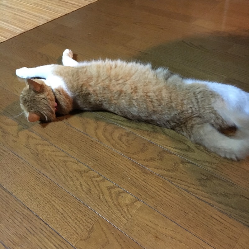 帰りはやはり、温泉❗️_f0363168_23144602.jpeg