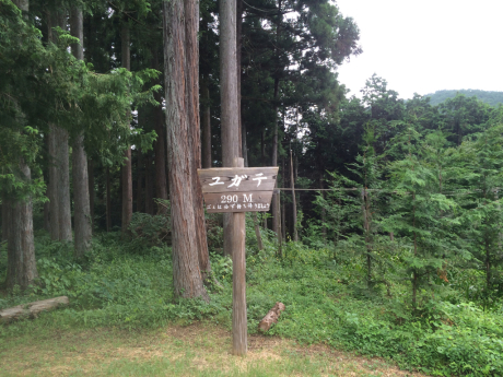 c0206177_14222660.jpg