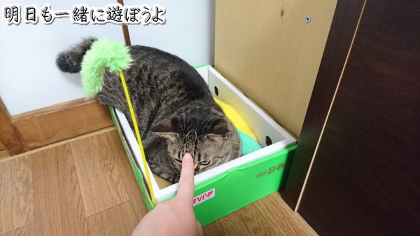 がぶうう　飼い主に悪戯される_b0239781_21092120.jpg