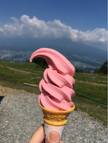 花の百名山、入笠山へ_d0261589_19551975.jpg