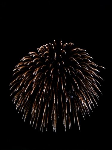 c0368903_05364739.png