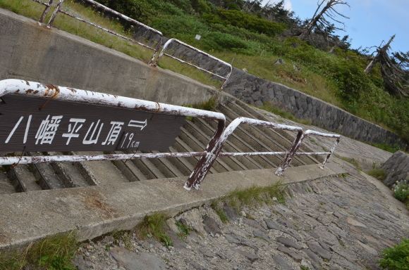 c0336907_20110409.jpg