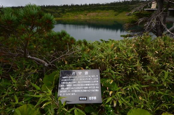 c0336907_20184226.jpg