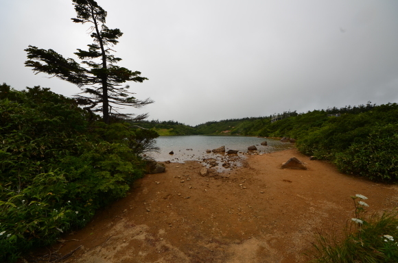 c0336907_20192508.jpg