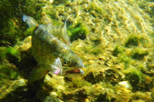 e0123808_2484537.jpg