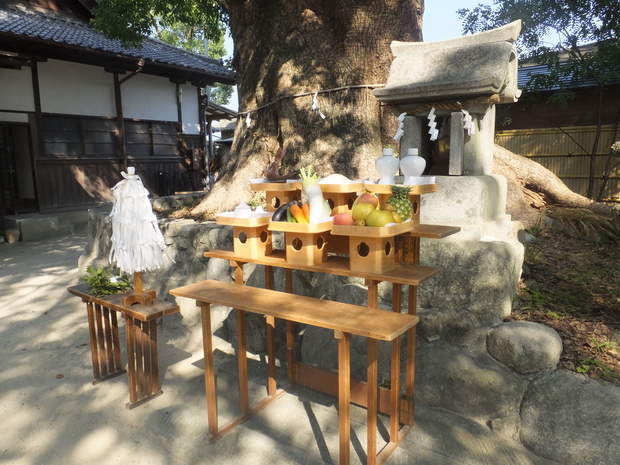 暑い日々_b0114209_9531535.jpg