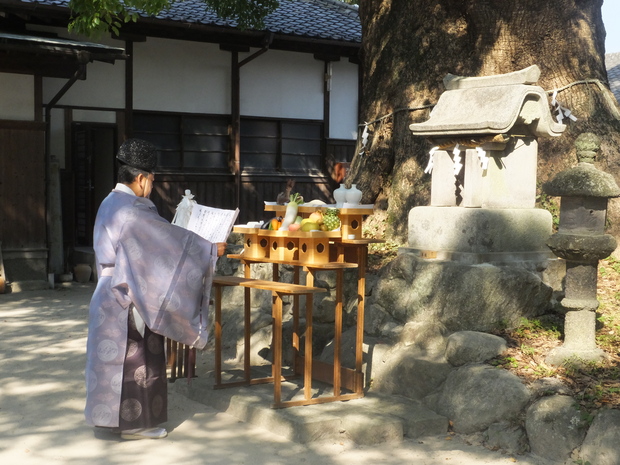 暑い日々_b0114209_95454100.jpg